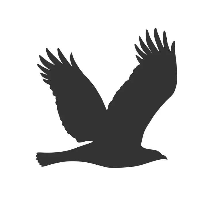 Hochleistungsfolie Vogelschutz BIRD|von Keilbach|anthrazit-metallic|ab 40 cm