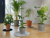 Blumentopfunterlage flora aus Polyamid|von Keilbach|hellgrau|Verschiedene Größen ab Ø 25 cm